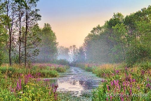 Ditch At Dawn_13722.jpg - Photographed near Jasper, Ontario, Canada.